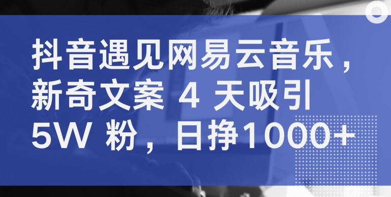 抖音遇见网易云音乐，新奇文案 4 天吸引 5W 粉，日挣1000+-聚富网创