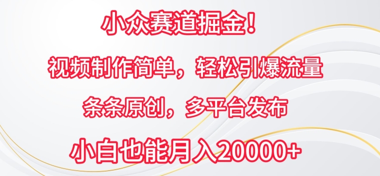 小众赛道掘金，视频制作简单，轻松引爆流量，条条原创，多平台发布-聚富网创