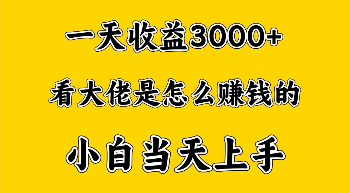 一天赚3000多，大佬是这样赚到钱的，小白当天上手，穷人翻身项目-聚富网创