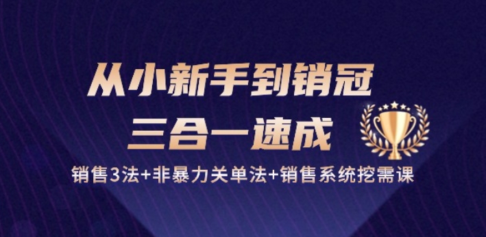 从小新手到销冠 三合一速成：销售3法+非暴力关单法+销售系统挖需课 (27节)-聚富网创