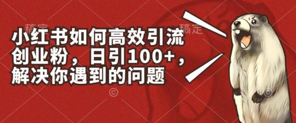 小红书如何高效引流创业粉，日引100+，解决你遇到的问题【揭秘】-聚富网创