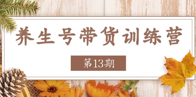 （11275期）养生号-带货训练营【第13期】收益更稳定的玩法，让你带货收益爆炸-聚富网创