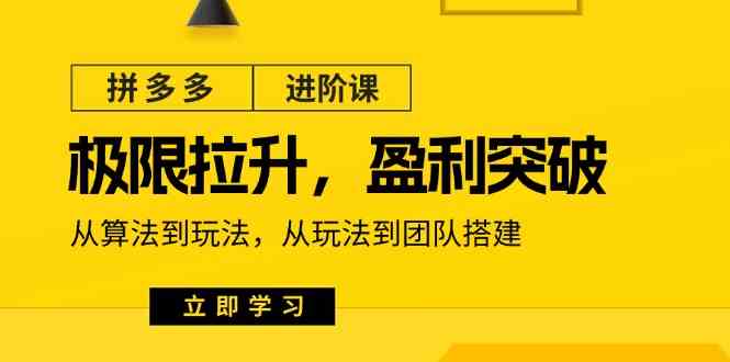 拼多多进阶课：极限拉升/盈利突破：从算法到玩法 从玩法到团队搭建（18节）-聚富网创