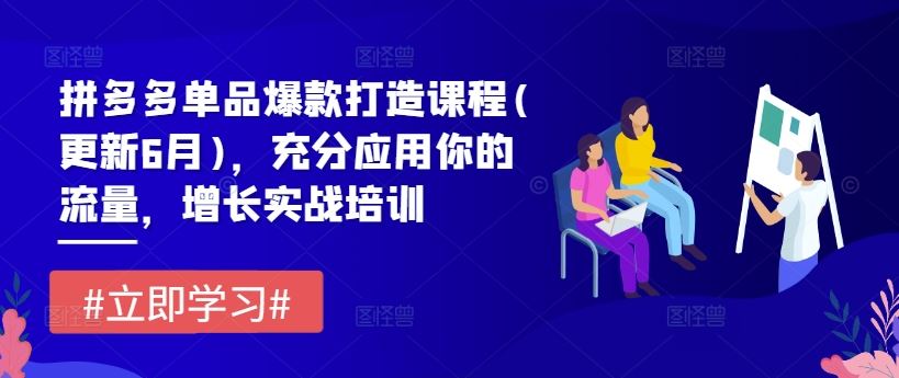 拼多多单品爆款打造课程(更新6月)，充分应用你的流量，增长实战培训-聚富网创