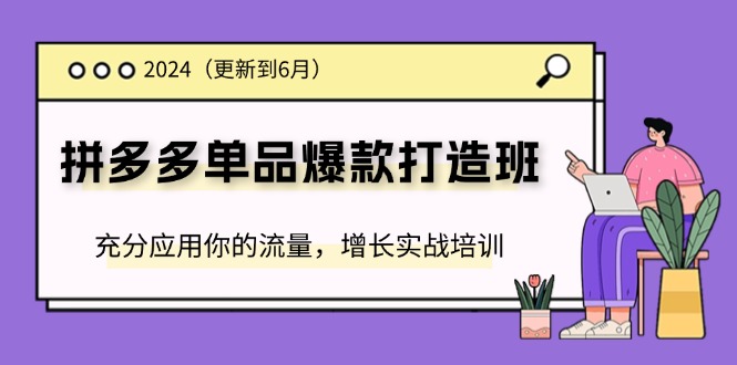 （11556期）2024拼多多-单品爆款打造班(更新6月)，充分应用你的流量，增长实战培训-聚富网创