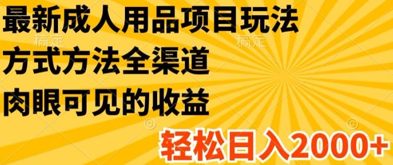 最新成人用品项目玩法，方式方法全渠道，轻松日入2K+【揭秘】-聚富网创