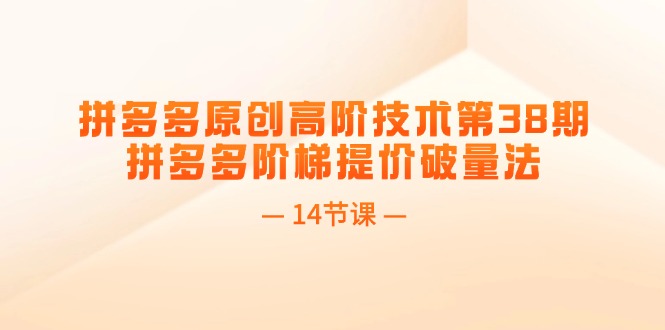 （11704期）拼多多原创高阶技术第38期，拼多多阶梯提价破量法（14节课）-聚富网创