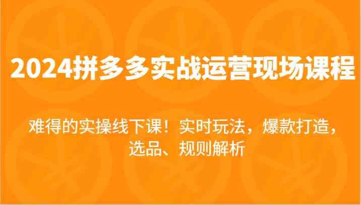 2024拼多多实战运营现场课，实时玩法，爆款打造，选品、规则解析，难得的实操线下课！-聚富网创