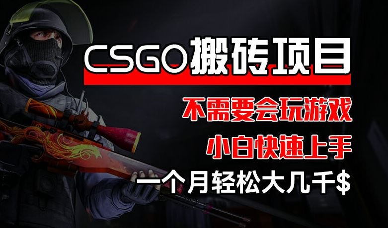 CSGO 装备搬砖项目，操作简单，不需要会玩游戏，小白也能快速上手，一个月轻松大几千【揭秘】-聚富网创