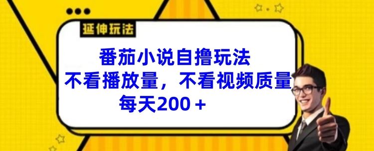 番茄小说自撸玩法，不看播放量，不看视频质量，每天200+【揭秘】-聚富网创