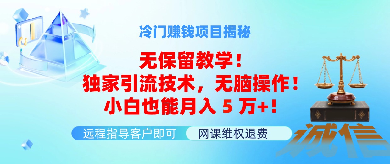 （11864期）冷门赚钱项目无保留教学！独家引流技术，无脑操作！小白也能月入5万+！-聚富网创