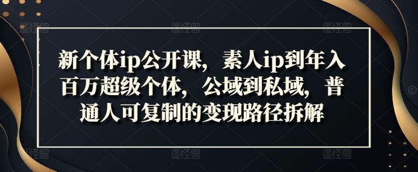 新个体ip公开课，素人ip到年入百万超级个体，公域到私域，普通人可复制的变现路径拆解-聚富网创