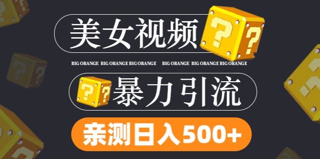 搬运tk美女视频全网分发，日引s粉300+，轻松变现，不限流量不封号-聚富网创