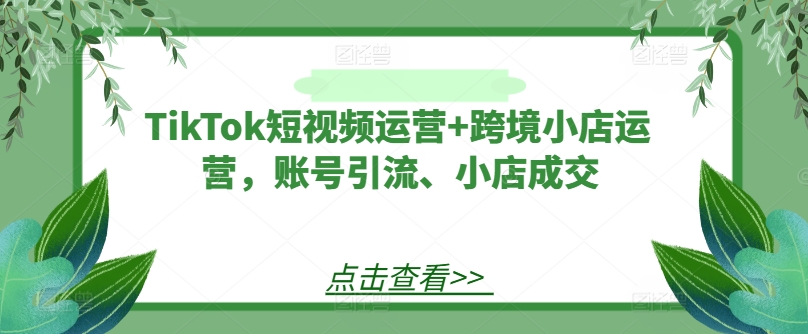 TikTok短视频运营+跨境小店运营，账号引流、小店成交-聚富网创