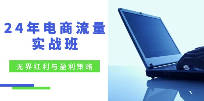 （12168期）24年电商流量实战班：无界 红利与盈利策略，终极提升/关键词优化/精准…-聚富网创