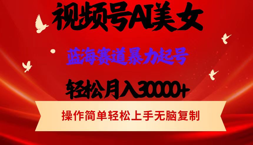 （12178期）视频号AI美女跳舞，轻松月入30000+，蓝海赛道，流量池巨大，起号猛，当…-聚富网创