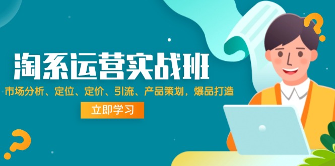 （12186期）淘系运营实战班：市场分析、定位、定价、引流、产品策划，爆品打造-聚富网创