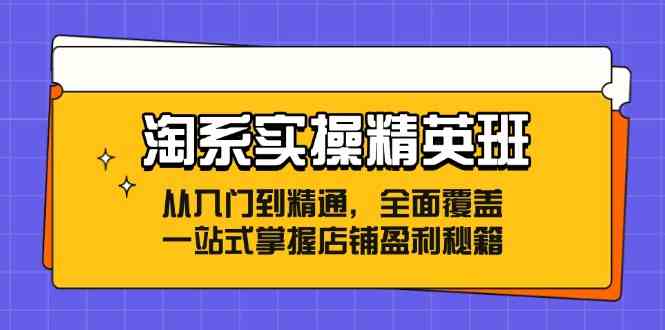 淘系实操精英班：从入门到精通，全面覆盖，一站式掌握店铺盈利秘籍-聚富网创