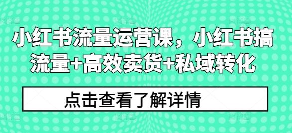 小红书流量运营课，小红书搞流量+高效卖货+私域转化-聚富网创