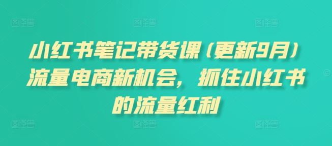 小红书笔记带货课(更新9月)流量电商新机会，抓住小红书的流量红利-聚富网创