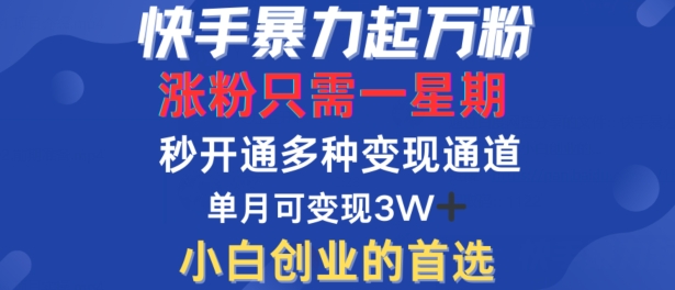 快手暴力起万粉，涨粉只需一星期，多种变现模式，直接秒开万合，单月变现过W【揭秘】-聚富网创