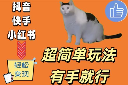 超简单玩法，有手就行，靠猫咪视频日入500+【揭秘】-聚富网创