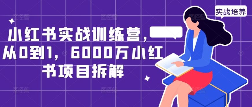 小红书实战训练营，从0到1，6000万小红书项目拆解-聚富网创