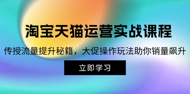 （12959期）淘宝&天猫运营实战课程，传授流量提升秘籍，大促操作玩法助你销量飙升-聚富网创