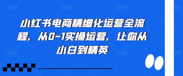 小红书电商精细化运营全流程，从0-1实操运营，让你从小白到精英-聚富网创