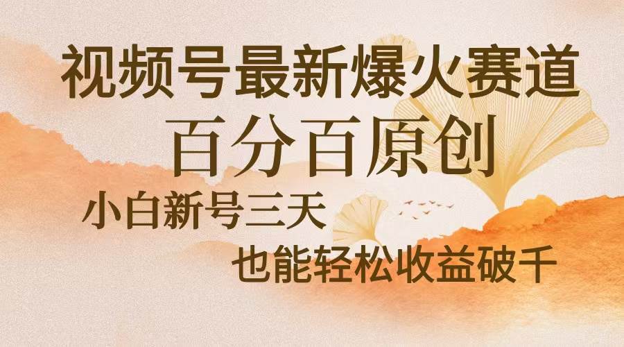 （13225期）视频号最新爆火赛道，中老年粉深信不疑，百分百原创，新号三天收益轻松…-聚富网创