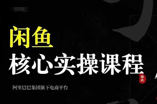 2024闲鱼核心实操课程，从养号、选品、发布、销售，教你做一个出单的闲鱼号-聚富网创