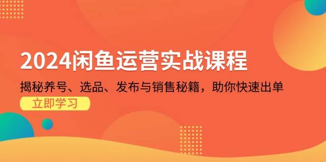 （13290期）2024闲鱼运营实战课程：揭秘养号、选品、发布与销售秘籍，助你快速出单-聚富网创