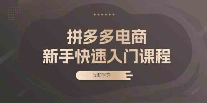 拼多多电商新手快速入门课程：涵盖基础、实战与选款，助力小白轻松上手-聚富网创