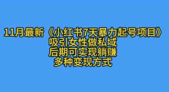 K总部落11月最新小红书7天暴力起号项目，吸引女性做私域【揭秘】-聚富网创