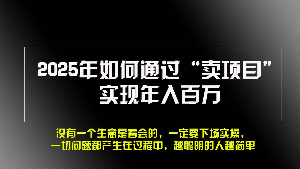 （13468期）2025年如何通过“卖项目”实现年入百万，做网赚必看！！-聚富网创