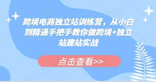 跨境电商独立站训练营，从小白到精通手把手教你做跨境+独立站建站实战-聚富网创