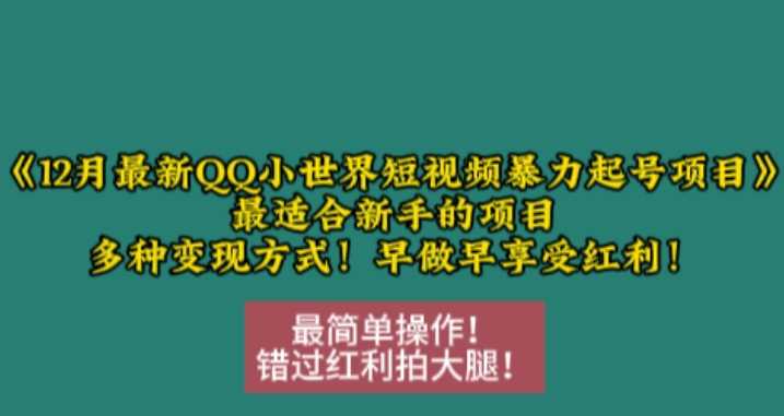 12月最新QQ小世界短视频暴力起号项目，最适合新手的项目，多种变现方式-聚富网创