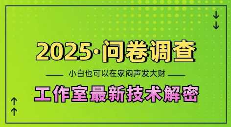 2025问卷调查最新工作室技术解密：一个人在家也可以闷声发大财，小白一天2张，可矩阵放大【揭秘】-聚富网创