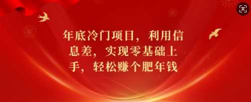 年底冷门项目，利用信息差，实现零基础上手，轻松赚个肥年钱【揭秘】-聚富网创