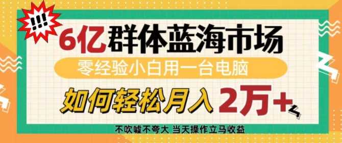 6亿群体蓝海市场，零经验小白用一台电脑，如何轻松月入过w【揭秘】-聚富网创