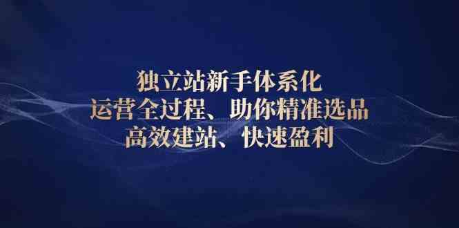 独立站新手体系化 运营全过程，助你精准选品、高效建站、快速盈利-聚富网创