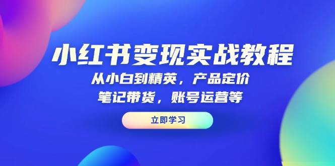 小红书变现实战教程：从小白到精英，产品定价，笔记带货，账号运营等-聚富网创