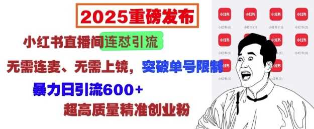 2025重磅发布：小红书直播间连怼引流，无需连麦、无需上镜，突破单号限制，暴力日引流600+-聚富网创