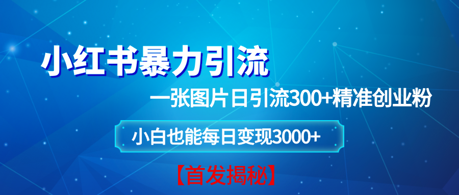 （13935期）小红书暴力引流法，一张图片日引 300+精准创业粉，每日稳定变现 3000+【揭秘】-聚富网创