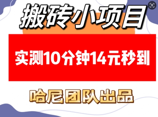 搬砖小项目，实测10分钟14元秒到，每天稳定几张(赠送必看稳定)-聚富网创