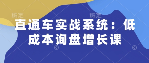 直通车实战系统：低成本询盘增长课，让个人通过技能实现升职加薪，让企业低成本获客，订单源源不断-聚富网创